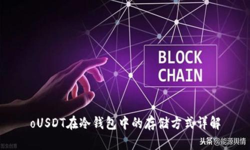oUSDT在冷钱包中的存储方式详解