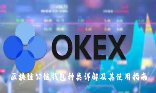 区块链公链钱包种类详解及其使用指南