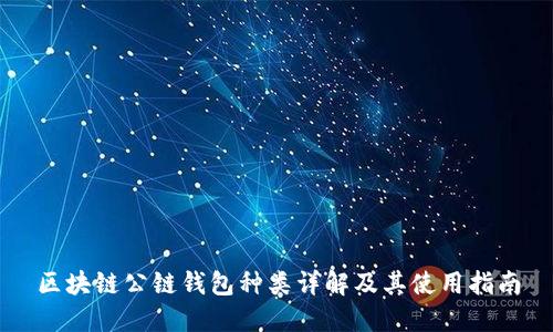 区块链公链钱包种类详解及其使用指南
