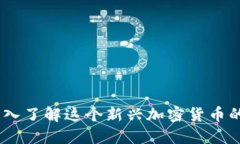什么是IMM币：深入了解这