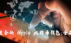 选择适合的 Apple 比特币钱