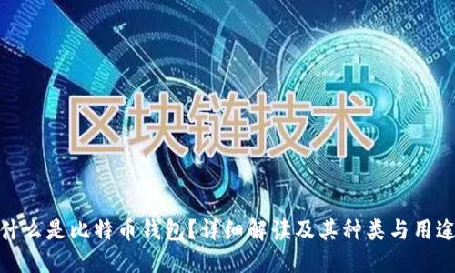 什么是比特币钱包?详细解读及其种类与用途