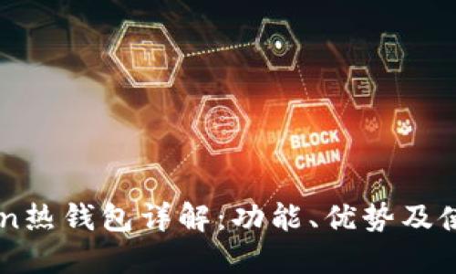 imToken热钱包详解:功能、优势及使用指南