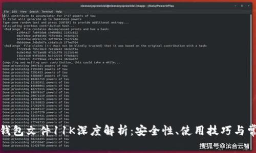 比特币钱包文件11K深度解析：安全性、使用技巧与常见问题